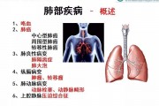 慢性呼吸系统疾病,呼吸系统疾病