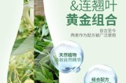 金银花露的所有小说txt百度网盘,金银花露小说百度云txt