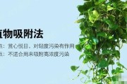 清除甲醛的有效方法是什么,清除甲醛的有效方法