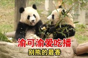 可子克子克孙先克己下一句