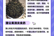 蒲公英的花能泡水喝吗有什么作用蒲公英的花能泡水喝吗有什么作用和功效