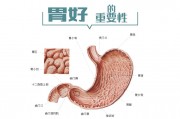 慢性胃肠炎的早期症状慢性肠胃炎