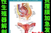 法医检查女尸隐私图片,女性解剖图