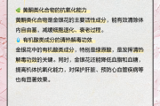 金银花的功效与作用的功能与主治与用量是多少金银花的功效与作用的功能与主治与用量