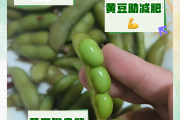 黄豆适合减肥吗,黄豆能减肥吗