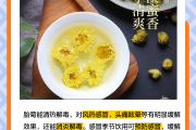 胎菊的功效与作用及禁忌胎菊的功效与作用