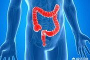 十二指肠溃疡和肠上皮化生有什么区别？