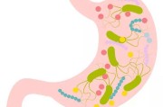 幽门螺旋杆菌身体有什么症状的简单介绍