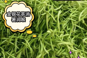 金银花现在最新价格,金银花最新价格表