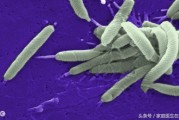 幽门螺旋杆菌感染要注意什么幽门螺旋杆菌的症状