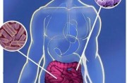 人体肠道内的菌群是如何建立的？