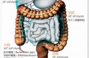 慢性肠胃炎怎么治疗？