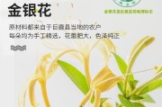 关于金银花露水泄不通在线全文免费阅读笔趣阁的信息