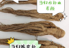 当归的作用当归的作用与功能主治是什么意思