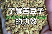 苦豆子,苦豆子香料