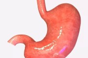 胃窦炎症状胃窦炎是什么症状严重吗