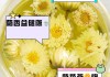 菊花茶哪种菊花最好胎菊,菊花茶哪种菊花最好