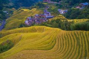 梅州雁南飞茶田度假村,梅县雁南飞茶田度假村现状