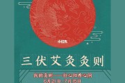 三伏天艾灸养生,三伏天艾灸养生图片高清