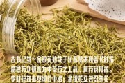 金银花的功效与作用泡水喝的功效菊花茶桔元金银花的功效与作用泡水喝的功效菊花茶