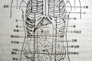 吃多了右上腹部隐痛的原因右上腹部隐痛的原因