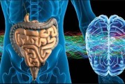 肠道微生物与人类健康有什么样的关系？