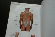 人体解剖图谱,3d人体解剖图谱