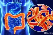 益生菌可以缓解肠道疾病吗？