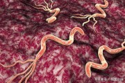 幽门螺旋杆菌的症状及治疗方法,幽门螺旋杆菌的症状能根治吗