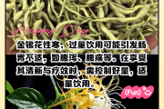 金银花泡水喝可以天天喝吗?金银花泡水喝可以天天喝吗