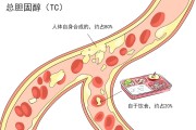 血脂异常是什么原因造成的?,血脂异常