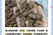 蒲公英起什么作用和功效,蒲公英根的功效与主治