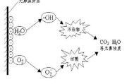 甲醛去除原理是什么样的呢甲醛去除的原理