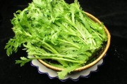 菊花菜的作用和功效,菊花菜的作用和功效为什么汤是绿色的
