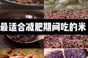 减肥期间主食吃什么掉秤最快减肥期间主食吃什么