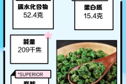 桑叶茶功效作用与主治桑叶茶功效作用与主治与功效