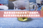 陈皮茶过夜还能喝吗过夜的陈皮茶可以喝嘛