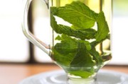 薄荷叶茶泡水喝的功效与作用薄荷叶茶