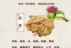 白术的正确读音与拼音解析：从中医到公司的应用