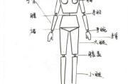 人体五官内脏结构图图人体结构