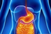 慢性胃炎分为几类？哪种危害更大？哪种会导致胃癌呢？