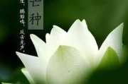 芒种养生常识芒种养生