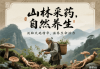 中药桔梗：传统草本的神奇功效与健康守护