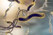 幽门螺旋杆菌病是怎么引起的,幽门螺旋杆菌发病原因是什么