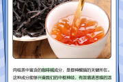 正语肉桂茶的价格和功效肉桂茶的价格和功效