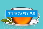 荷叶茶可以减肥吗,喝荷叶茶一周瘦10斤