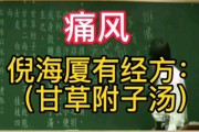 倪海厦经方经验总结大全100方上养阳医斋,倪海厦推荐的大陆经方家