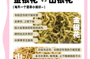 金银花的功效金银花的功效与作用能消除结节吗