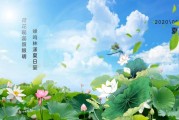 夏至养生,夏至养生文案