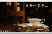 宝塔诗茶作者,宝塔诗茶